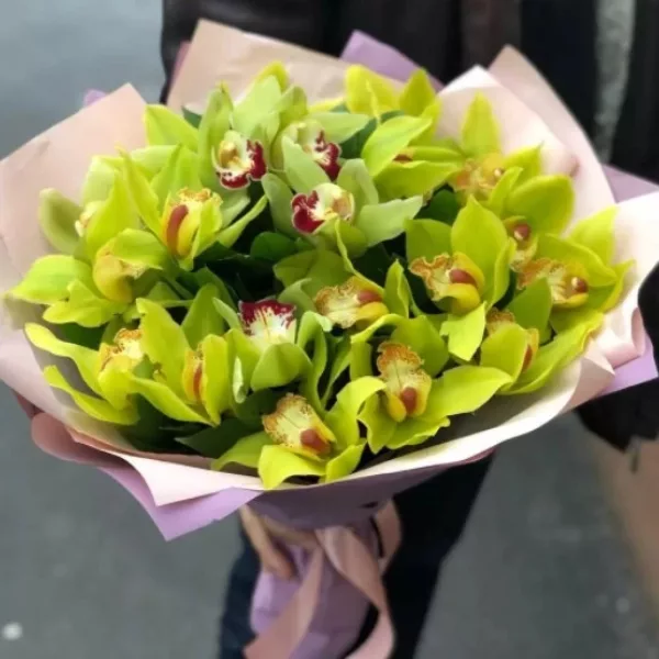 Орхидеи — купить в Калуге