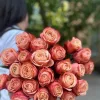 Букет из 25 коралловых роз «Персиковый огонь» (Нина, 60 см)