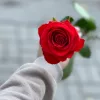 Букет из 25 красных роз (Нина, 60 см)