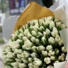 Букет «Белый апогей» из 101 белого тюльпана