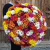 Букет из 101 кустовой хризантемы «Яркий взрыв красок» (микс цветов)