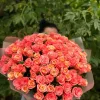 Букет из 101 персиковой розы «Коралловый закат» (местная, 50 см)