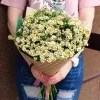 Букет «Ромашковый май» из 11 веток танацетума