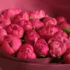Букет из 25 коралловых пионов «Коралловый шёлк»
