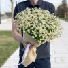 Букет «Полевой полдень» из 25 танацетумов