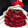 Букет «Бархатный каскад» из 25 красных роз (местная, 60 см)