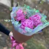 Букет «Розовый плюш» из 3 розовых пионов с эвкалиптом