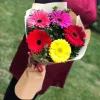 Букет «Летний всплеск» из 5 разноцветных гербер с писташем