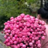 Букет из 51 кустовой розы «Малиновый купол кустовых роз» (70 см)