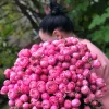Букет из 51 кустовой розы «Малиновый купол кустовых роз» (70 см)