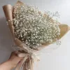 Букет «Белое облачко» из 9 веток гипсофилы