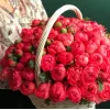 Корзина «Коралловый купол пионов» из 101 кораллового пиона