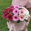 Коробка «Розовый горизонт» из 25 гербер микс (малиновые, розовые, белые)