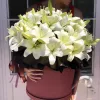 Коробка «Белый простор» из 25 белых лилий