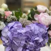 Коробка «Лавандовый купол» с гортензией, розами и ранункулюсом