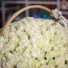 Корзина «Белое великолепие» из 101 белой розы (местная, 50 см)
