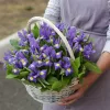 Корзина «Фиолетовый прибой» из 25 ирисов
