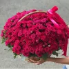 Корзина «Малиновый купол роз» из 49 кустовых роз с писташем и эвкалиптом