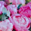 Открытка «Алый конверт» с 4 шоколадками