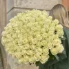 Букет из 101 белой розы «Молочный купол роз» (местная, 60 см)