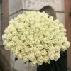 Букет из 101 белой розы «Молочный купол роз» (местная, 60 см)