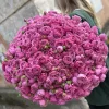 Букет из 101 кустовой розовой розы «Малиновый купол кустовой розы» (70 см)
