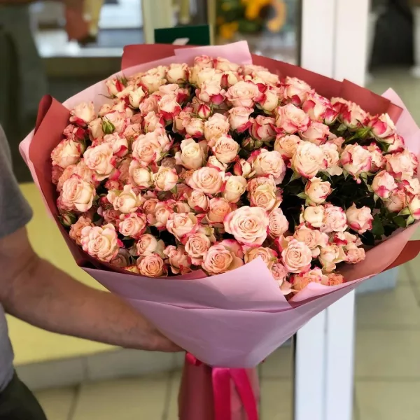 Огромный букет из 101 кустовой розы кремово-розового цвета в розово-малиновой упаковке