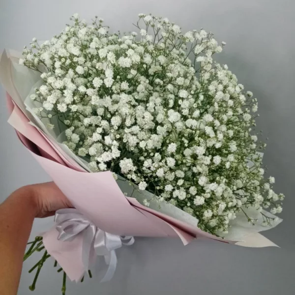 Букет из 15 белых гипсофил в пастельной упаковке с атласной лентой, вид спереди