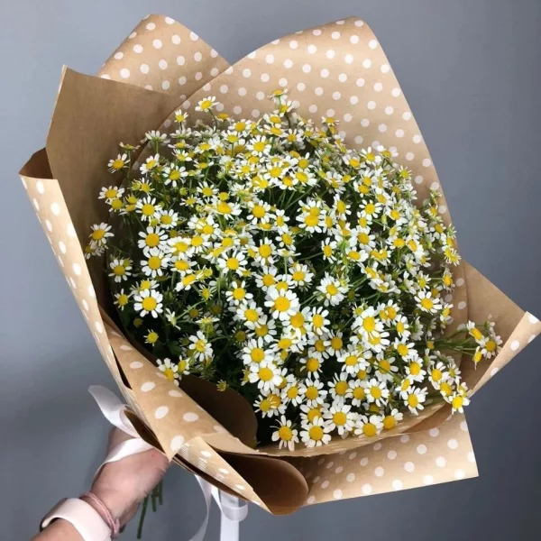 Пышный букет из белых танацетумов с жёлтыми сердцевинами в крафтовой бумаге в горошек