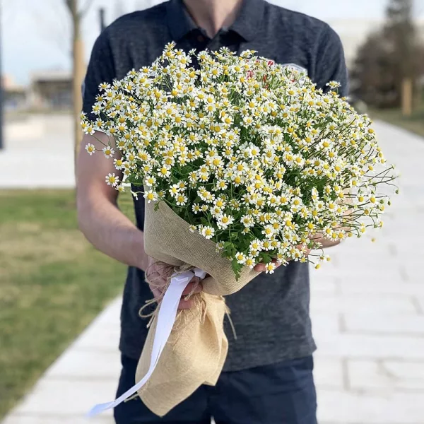 Пышный букет из белых танацетумов с жёлтыми центрами в упаковке из мешковины с белой лентой