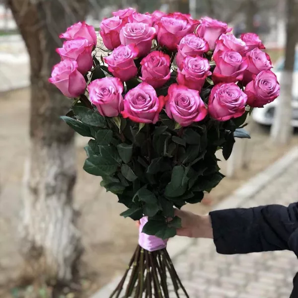 Монобукет из 25 ярко-розовых роз на длинных стеблях, перевязан розовой атласной лентой