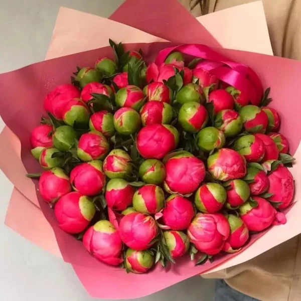 Букет из 45 коралловых пионов с плотными бутонами в розово-персиковой упаковке