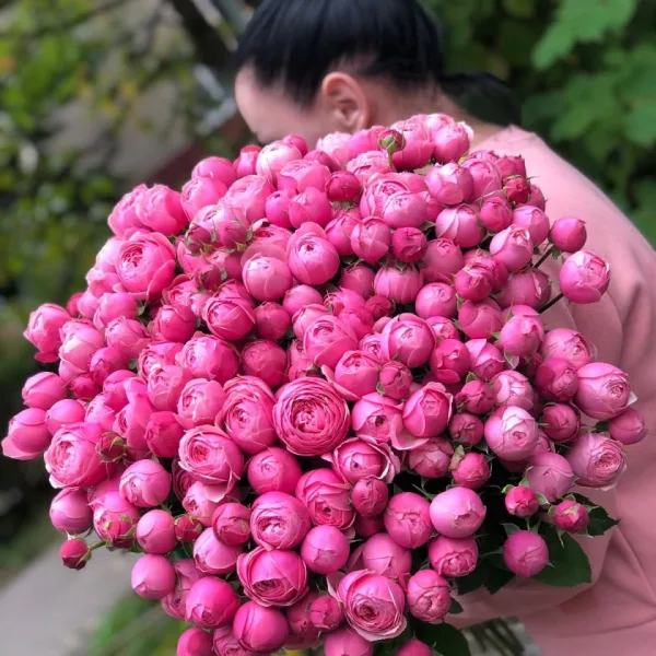 Букет из 51 кустовой розы «Малиновый купол кустовых роз» (70 см)