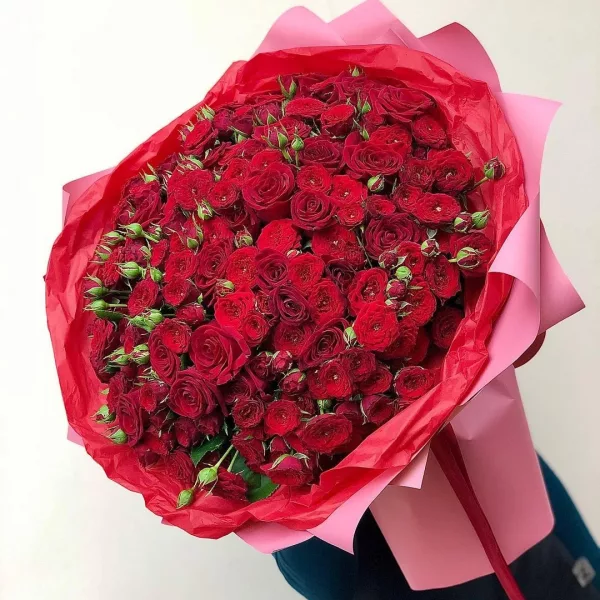 Пышный букет из 51 красной кустовой розы в розово-красной дизайнерской упаковке