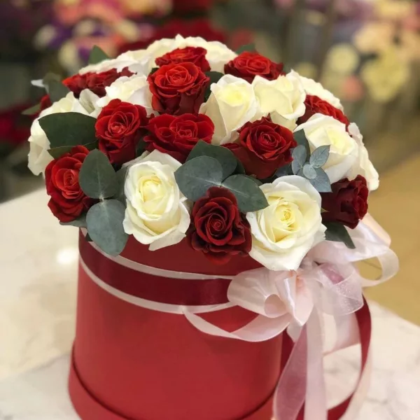 Коробка «Алый и снежный купол» из 31 красно-белой розы (местная, 40 см)