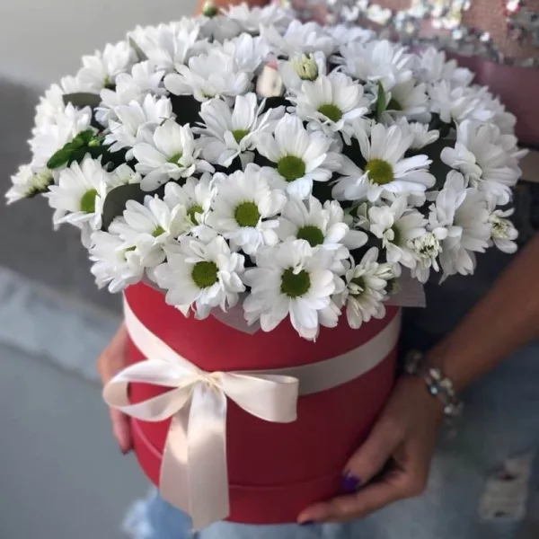 Шляпная коробка с белыми кустовыми хризантемами, красная коробка с атласной лентой