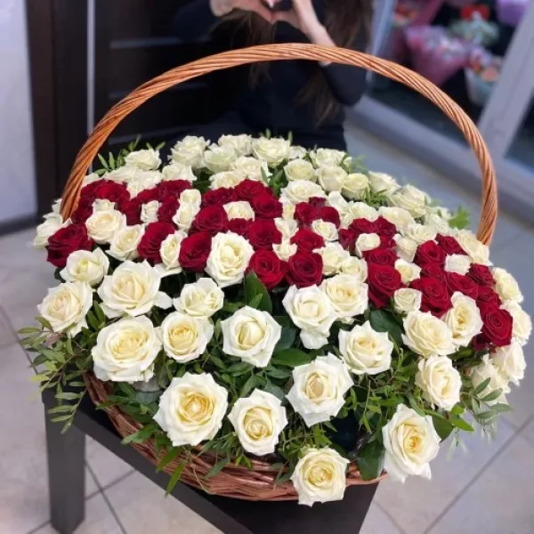 Плетёная корзина с 95 красными и белыми розами, зелёный писташ по краям