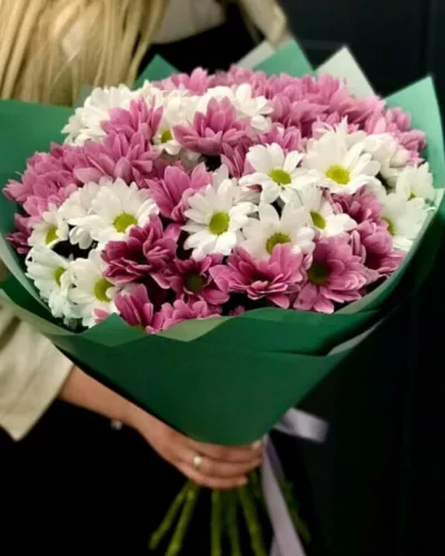 Букет из розовых и белых кустовых хризантем в зелёной упаковке, вид спереди