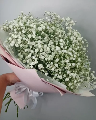 Букет из 15 белых гипсофил в пастельной упаковке с атласной лентой, вид спереди