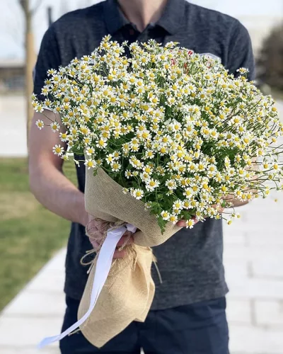 Пышный букет из белых танацетумов с жёлтыми центрами в упаковке из мешковины с белой лентой
