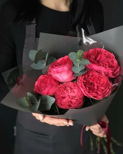 Букет из 5 малиново-бордовых пионовидных роз с эвкалиптом в тёмной матовой упаковке