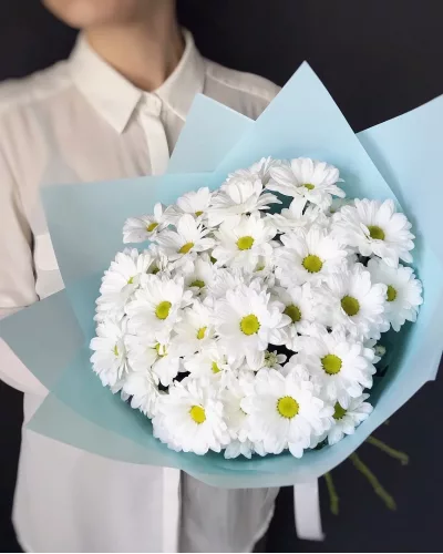 Монобукет из белых кустовых хризантем в голубой упаковке с атласной лентой