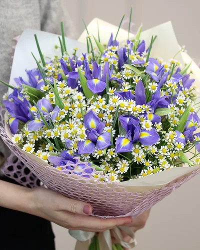Сборный букет с синими ирисами и белым танацетумом в сиреневой сетчатой упаковке