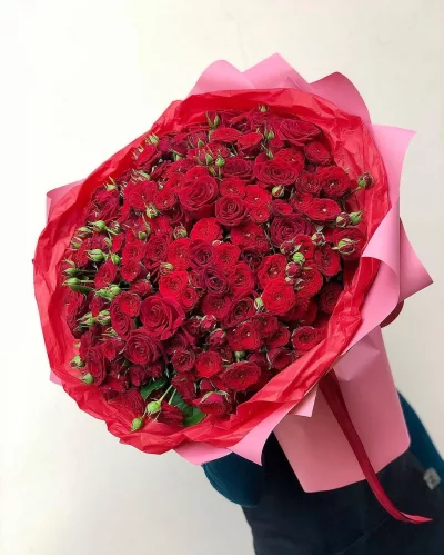 Пышный букет из 51 красной кустовой розы в розово-красной дизайнерской упаковке