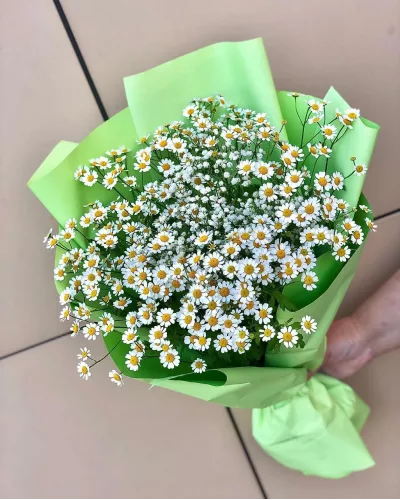 Пышный букет из мелких белых танацетумов с жёлтым центром в салатовой упаковке