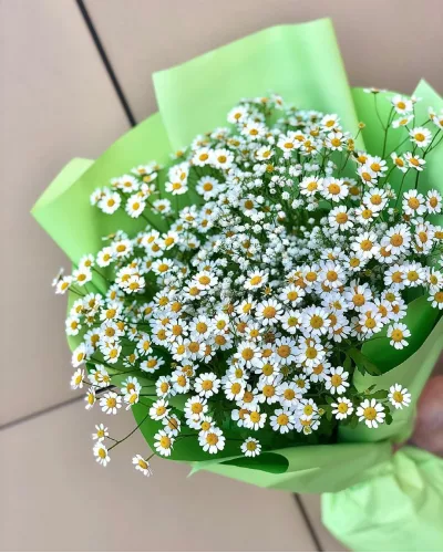 Букет «Луговое облако» с белыми ромашкоподобными цветками и жёлтыми центрами в салатовой бумажной упаковке, вид сверху