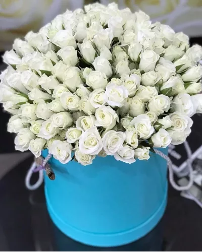Коробка из 21 белой кустовой розы куполом в голубой шляпной коробке