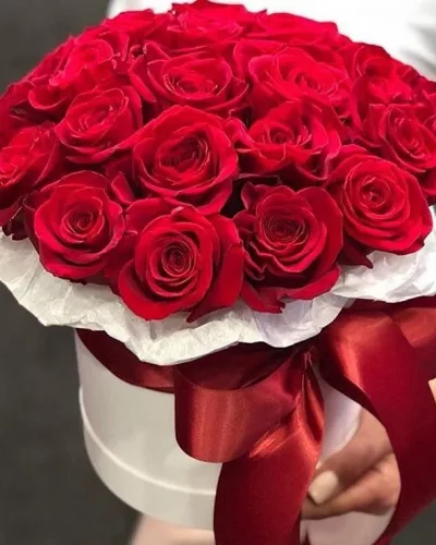 Коробка из 21 красной розы в белой шляпной коробке с бордовой атласной лентой