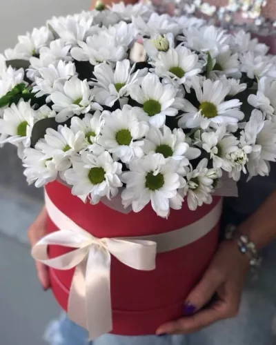 Шляпная коробка с белыми кустовыми хризантемами, красная коробка с атласной лентой