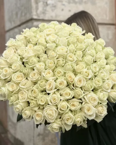 Плотный монобукет из кремово-белых роз с идеальным сферическим куполом, высота 60 см